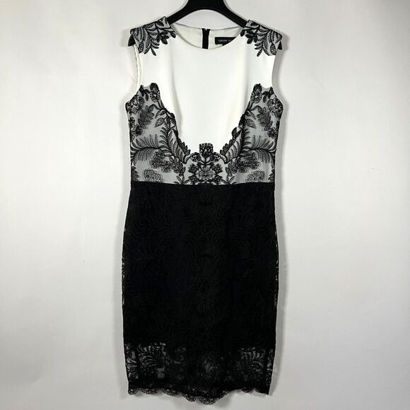 Tadashi Shoji Dress Embroidered Lace Overlay Size 14 Formal Elegant Event MOB - Picture 1 of 12